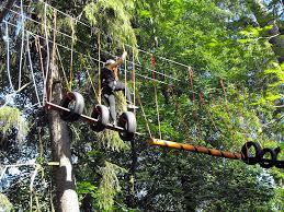 Hardcore Park Linowy